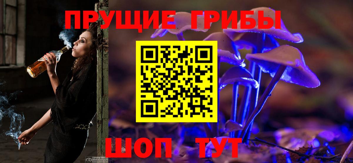 Псилоцибиновые грибы MAGIC MUSHROOMS Морозовск