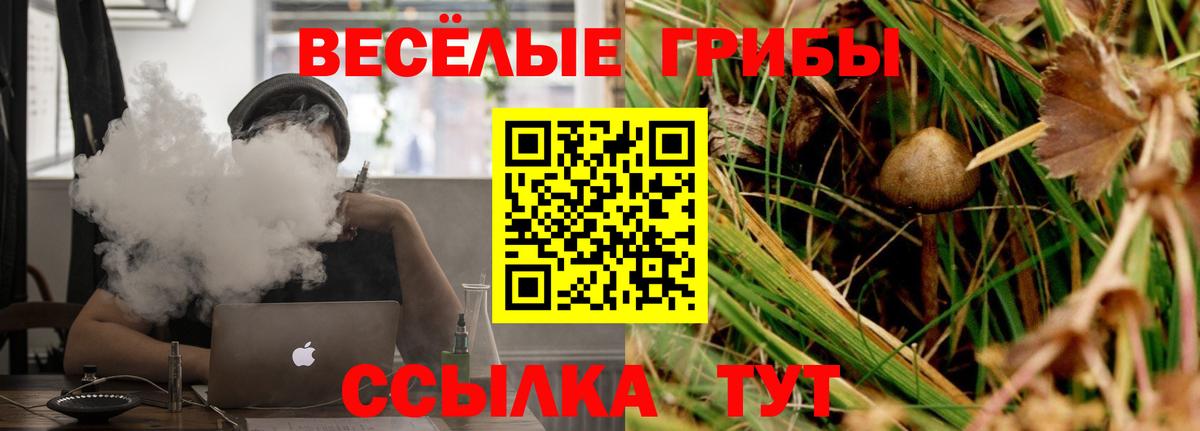 Галлюциногенные грибы прущие грибы  Вход с VPN  Морозовск  Псилоцибиновые грибы GOLDEN TEACHER 
